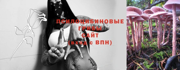 винт Арсеньев